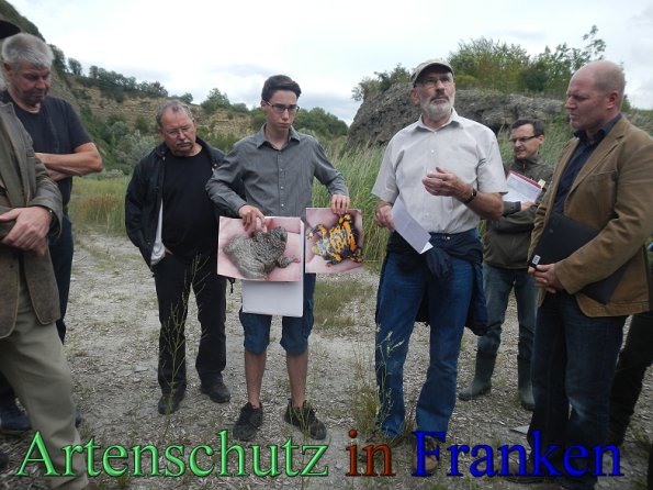 Bild zum Eintrag (48227-160)