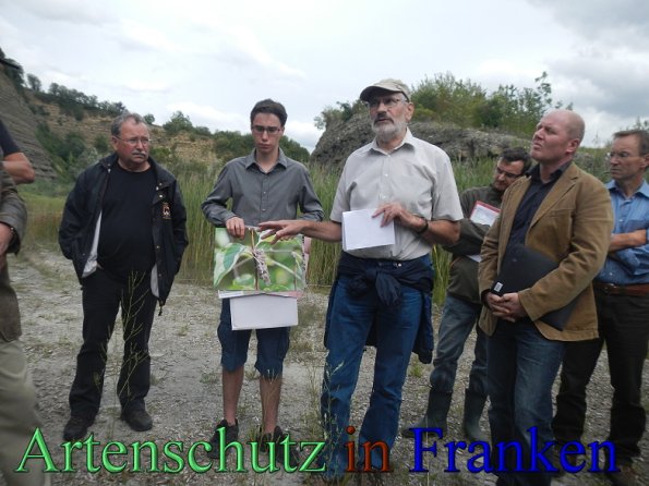 Bild zum Eintrag (48228-160)