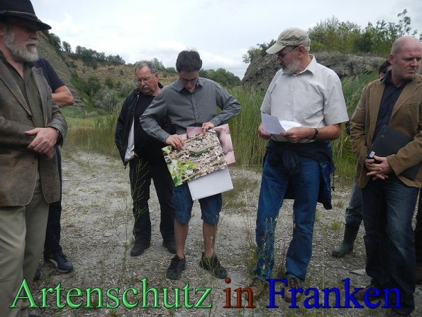 Bild zum Eintrag (48230-160)