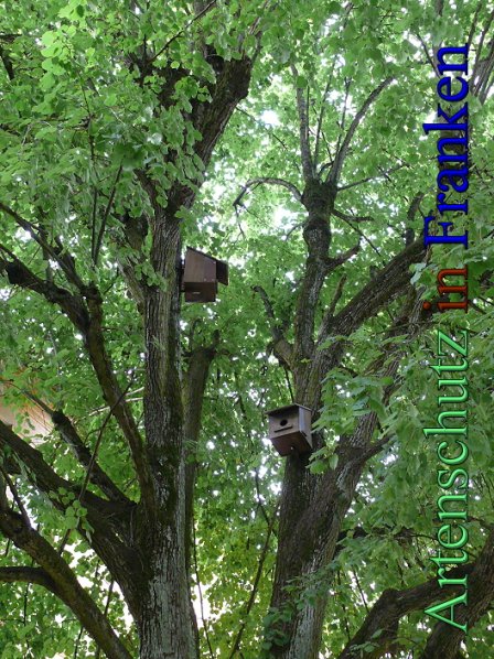 Copyright AiS Heller Bild zum Eintrag (48348-160)