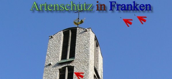 Copyright AiS Schmidt Michaela Bild zum Eintrag (48424-160)