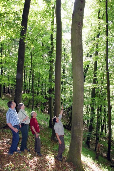 Bild zum Eintrag (48498-160)