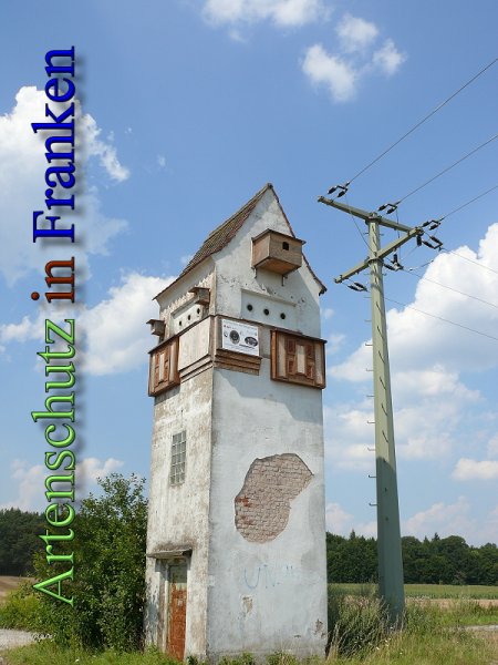 Bild zum Eintrag (48512-160)