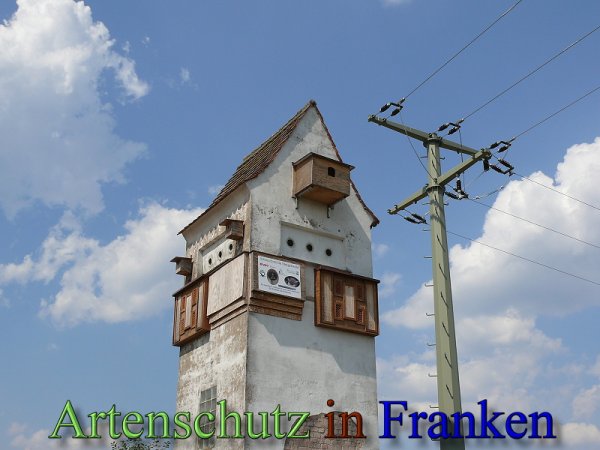 Bild zum Eintrag (48513-160)