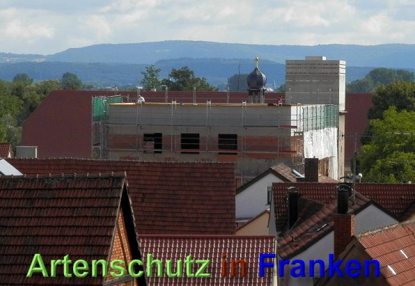 Copyright AiS- Albert Meier Bild zum Eintrag (48953-160)
