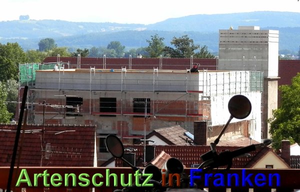 Copyright AiS- Albert Meier Bild zum Eintrag (48954-160)