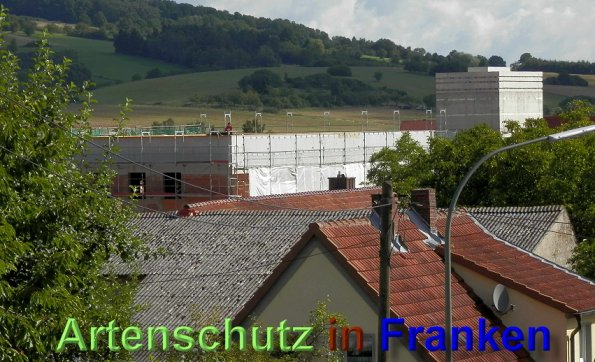 Copyright AiS- Albert Meier Bild zum Eintrag (48955-160)
