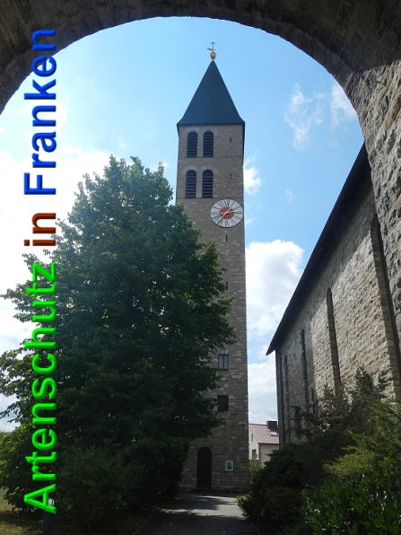 Copyright AiS Bild zum Eintrag (49050-160)