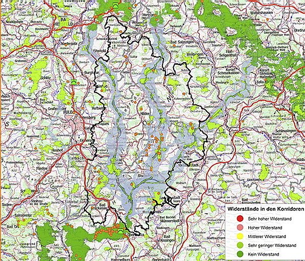 Bild zum Eintrag (49144-160)