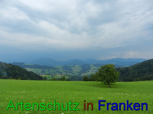 Copyright AiS - Mitterhuber Bild zum Eintrag (49407-160)