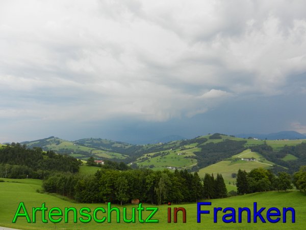 Copyright AiS - Mitterhuber Bild zum Eintrag (49408-160)