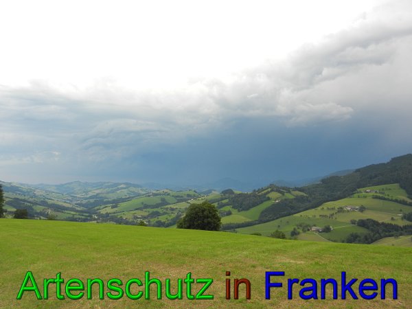 Copyright AiS - Mitterhuber Bild zum Eintrag (49409-160)