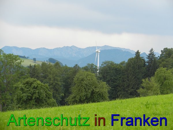 Copyright AiS - Mitterhuber Bild zum Eintrag (49410-160)
