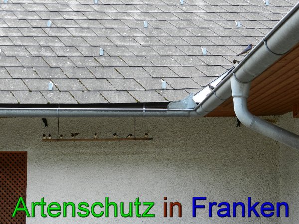 Copyright AiS - Mitterhuber Bild zum Eintrag (49411-160)