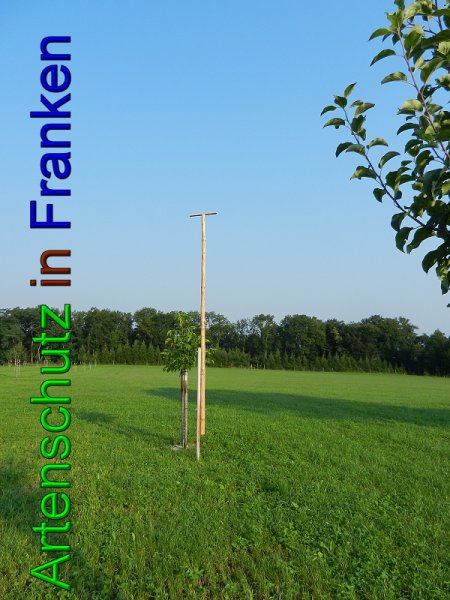 Copyright AiS - Mitterhuber Bild zum Eintrag (49413-160)