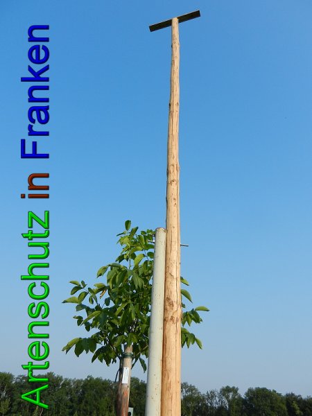 Copyright AiS - Mitterhuber Bild zum Eintrag (49414-160)