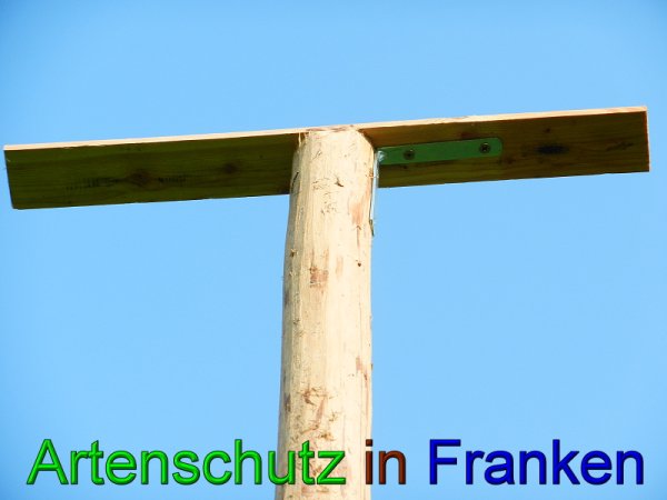 Copyright AiS - Mitterhuber Bild zum Eintrag (49415-160)
