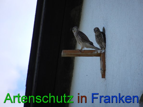 Copyright AiS - Mitterhuber Bild zum Eintrag (49465-160)
