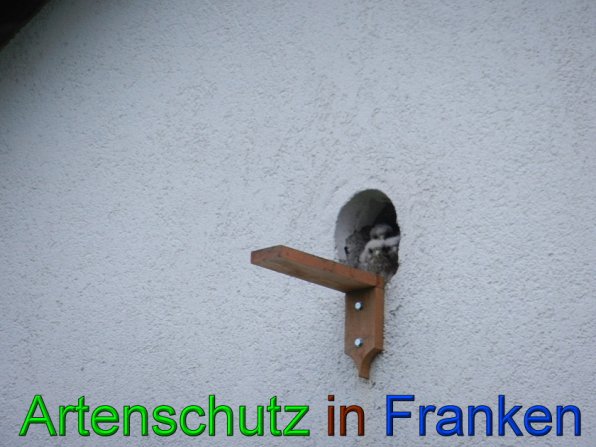 Copyright AiS - Mitterhuber Bild zum Eintrag (49466-160)
