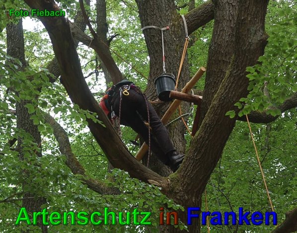 Copyright AiS Fiebach Bild zum Eintrag (49529-160)