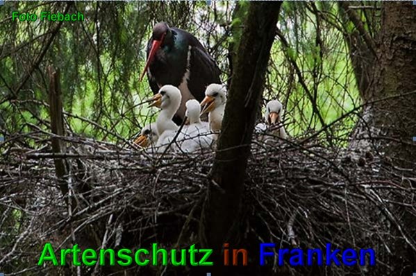 Copyright AiS Fiebach Bild zum Eintrag (49530-160)