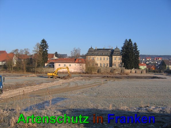 Bild zum Eintrag (49545-160)