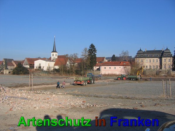 Bild zum Eintrag (49547-160)