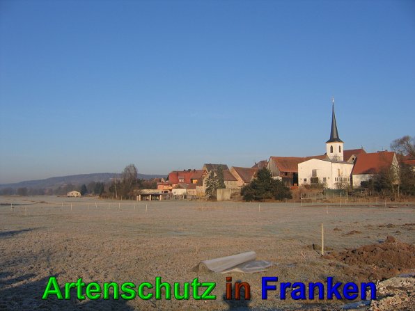 Bild zum Eintrag (49549-160)