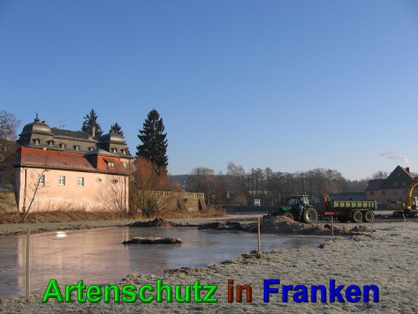 Bild zum Eintrag (49555-160)