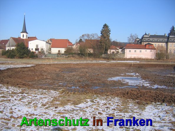 Bild zum Eintrag (49559-160)