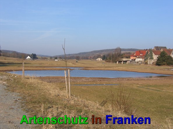 Bild zum Eintrag (49561-160)