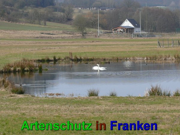 Bild zum Eintrag (49563-160)