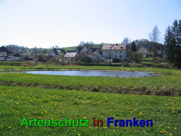 Bild zum Eintrag (49569-160)