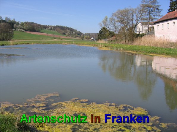 Bild zum Eintrag (49572-160)