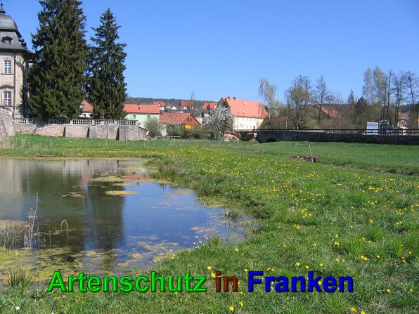 Bild zum Eintrag (49573-160)