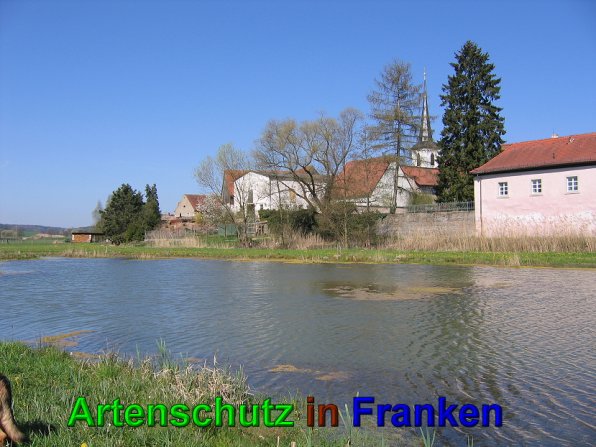 Bild zum Eintrag (49578-160)