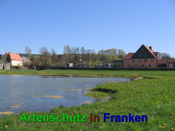 Bild zum Eintrag (49579-160)