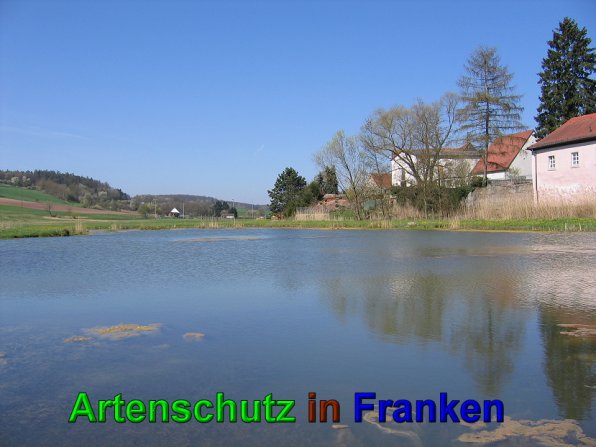 Bild zum Eintrag (49580-160)