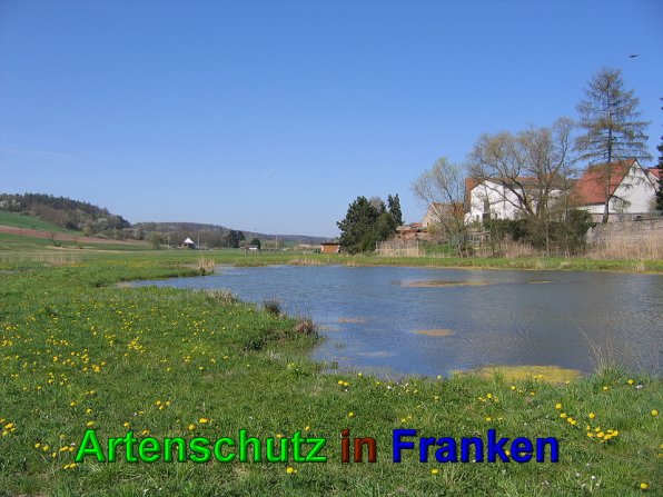 Bild zum Eintrag (49582-160)