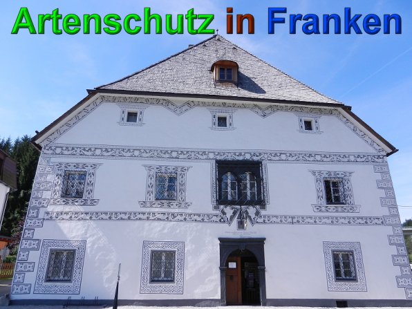 Copyright AiS - Mitterhuber Bild zum Eintrag (49676-160)
