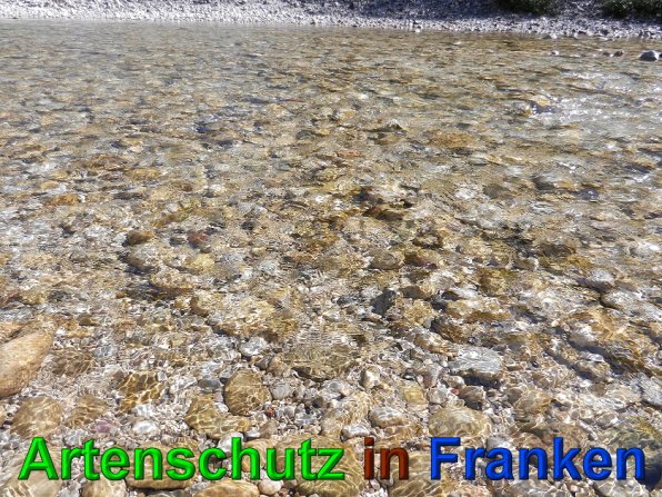 Copyright AiS - Mitterhuber Bild zum Eintrag (49679-160)
