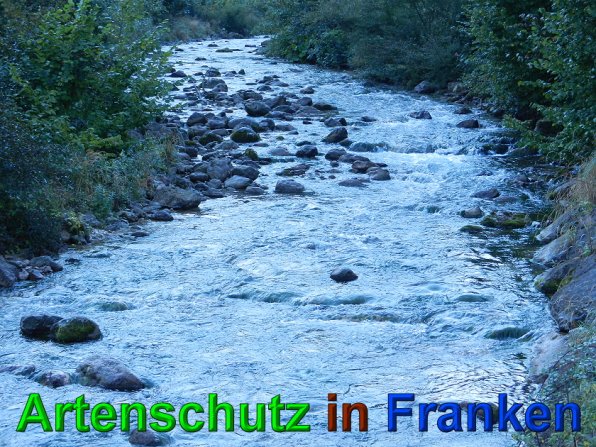 Copyright AiS - Mitterhuber Bild zum Eintrag (49680-160)