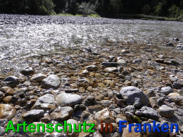 Copyright AiS - Mitterhuber Bild zum Eintrag (49681-160)