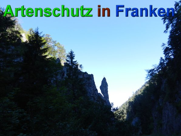 Copyright AiS - Mitterhuber Bild zum Eintrag (49682-160)