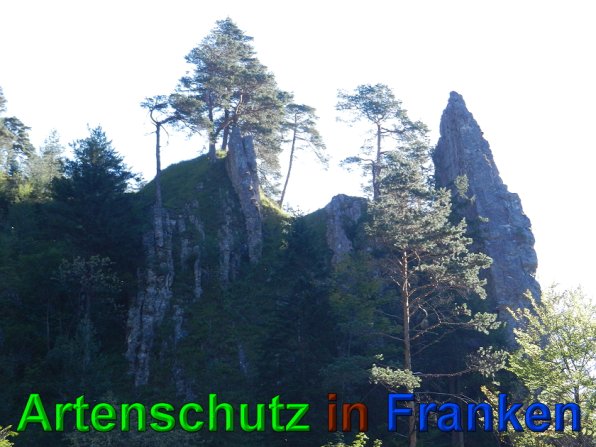 Copyright AiS - Mitterhuber Bild zum Eintrag (49683-160)