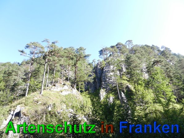 Copyright AiS - Mitterhuber Bild zum Eintrag (49684-160)