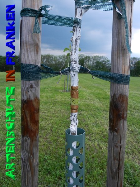 Copyright AiS - Mitterhuber Bild zum Eintrag (50317-160)