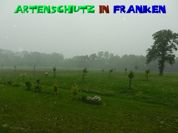 Copyright AiS - Mitterhuber Bild zum Eintrag (50318-160)