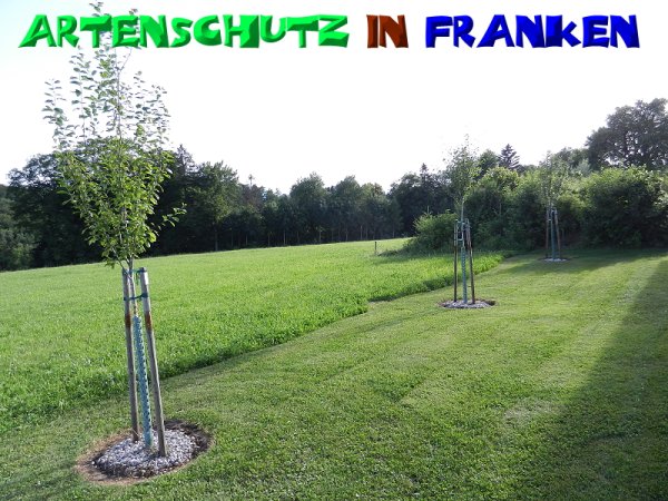 Copyright AiS - Mitterhuber Bild zum Eintrag (50322-160)