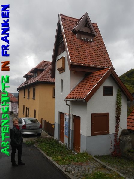 Bild zum Eintrag (50460-160)